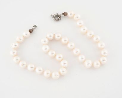 Necklace of white cultured pearls in choker....
