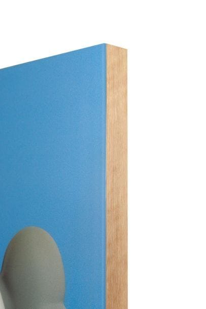 KAWS (1974)
Family Companion, Blue Version,...