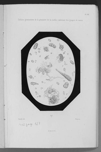 PASTEUR (Louis)
Études sur la Bière, ses...