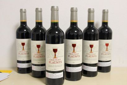 60 bouteilles de Montagne Saint Emilion de...
