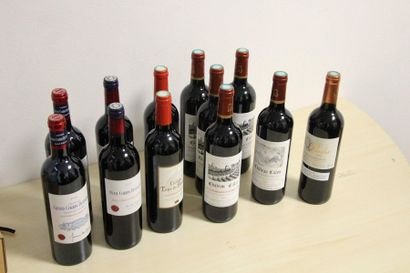 10 bouteilles de Puisseguin Saint Emilion...