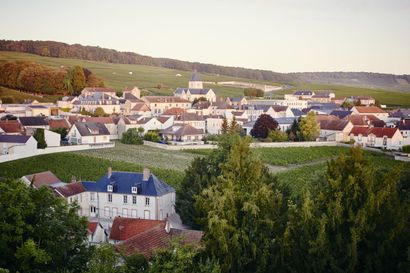 Krug

Private tour of the Krug house for...
