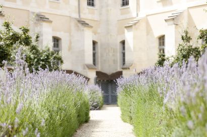 Kering/Laennec

A lunch in the heart of lavender...