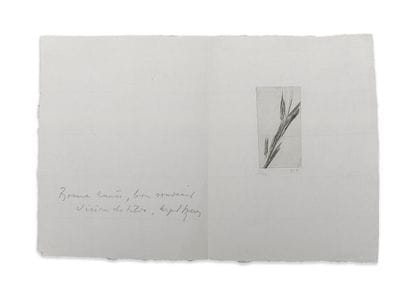Maria Elena VIEIRA DA SILVA (1908-1992)
Greeting...