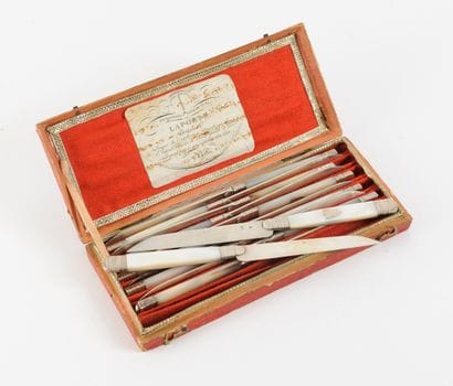 Twelve fruit knives with silver blades (800)...