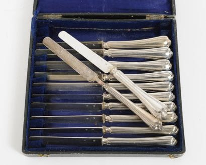 Twelve fruit knives with silver blade (950)...