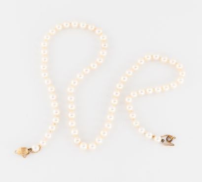 Collier de perles de culture blanches choker....