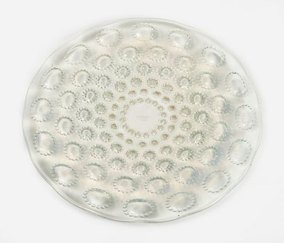 RENE LALIQUE (1860-1945)
Assiette Aster n°2.

Modèle...