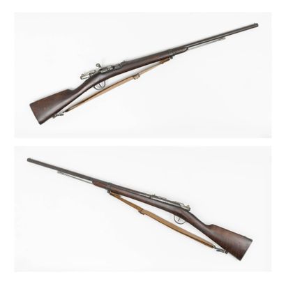 GRAS rifle, mod. 1874.

Transformed for hunting.

Smooth...