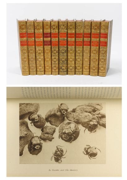 Jean-Henri FABRE
Entomological Memories....