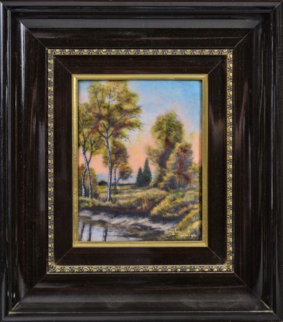 MARYLOU FAUVET, LIMOGES
- Paysage de forêt...