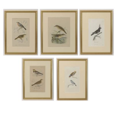 Lot de 5 gravures en couleur ou planches...