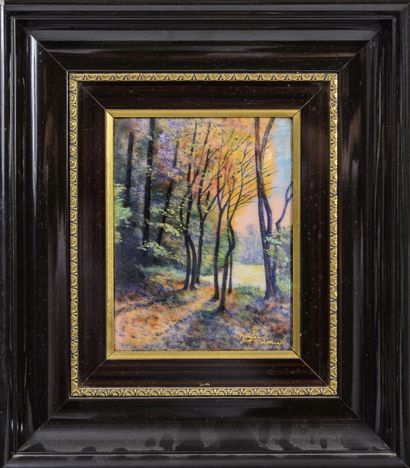 MARYLOU FAUVET, LIMOGES
- Paysage de forêt...