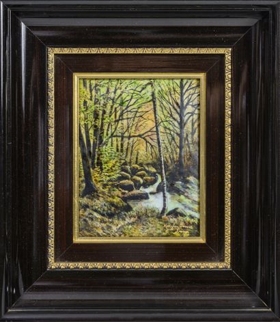 MARYLOU FAUVET, LIMOGES
- Paysage de forêt...