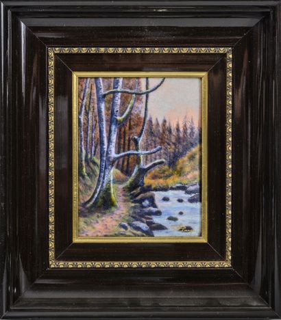 MARYLOU FAUVET, LIMOGES
- Paysage de forêt...
