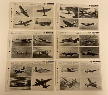 24 photographs 