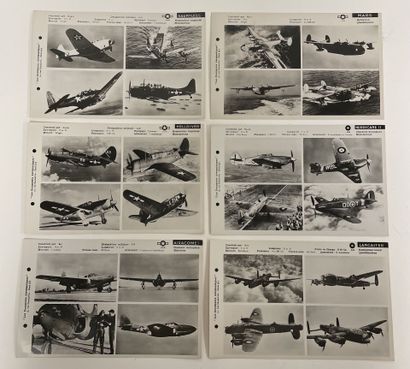 24 photographs 