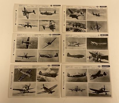 24 photographs 