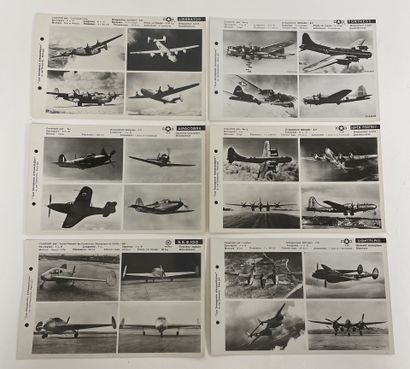 24 photographs 