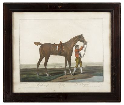 Lot de cinq estampes

- D'après Carl VERNET...