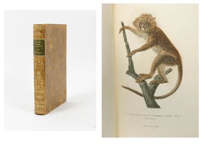 Collection of animal engravings in color.

Most...