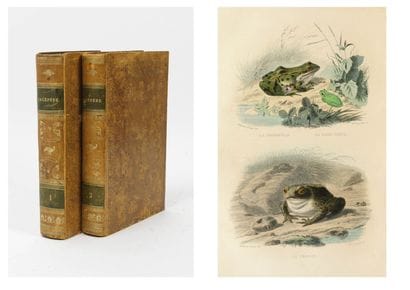 Comte Bernard-Germain de LACEPEDE (1756-1825)
Histoire...