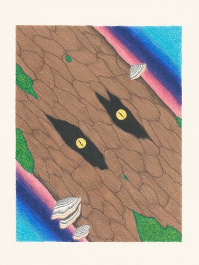 MAXIME VERDIER

The Predator , 2021

Coloured...