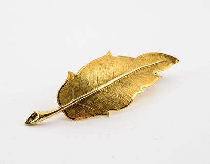 Leaf brooch in yellow gold (750). 

Pin in...