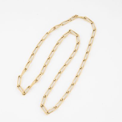 Yellow gold (750) necklace with horse chain....