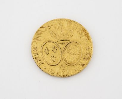 Louis XV (1715 - 1774)

Double Louis d'or...
