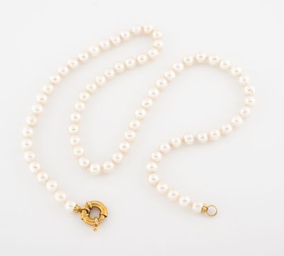 Collier de perles de culture blanches choker....