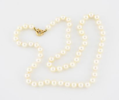Collier de perles de culture blanches. 

Fermoir...