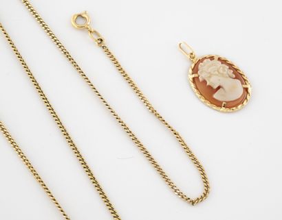 Yellow gold (750) pendant holding a cameo...
