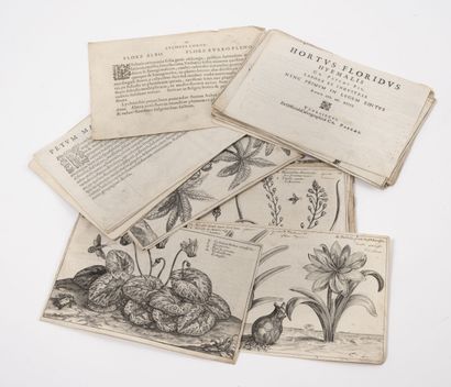 Crispin de PASSE
Set of leaves from part...