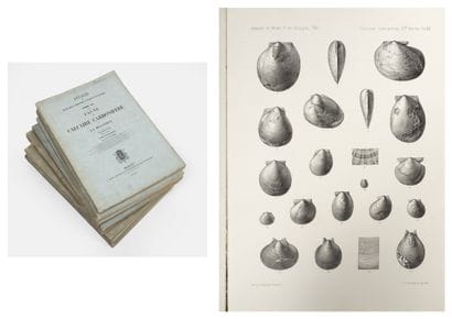 L.G. DE KONINCK 
Annales du musée royal d'histoire...
