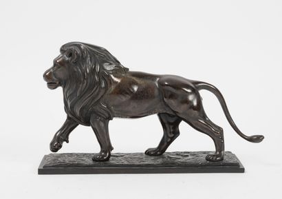 D'après Charles CONRAD (1912)
Lion walking....