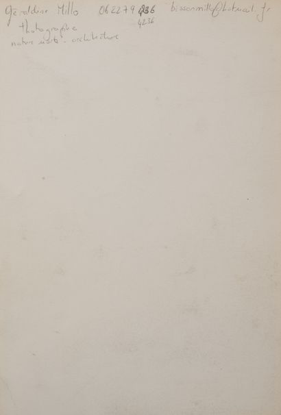 Géraldine MILLO (1978)
Nature morte - architecture.

Tirage...