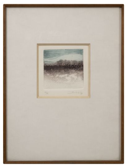 Sheila BENOW (1943)
Paysage, 1976.

Eau-forte...