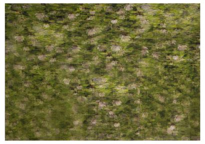 Lisa SARTORIO (1970)
Culture de masse, 2014.

Tirage...