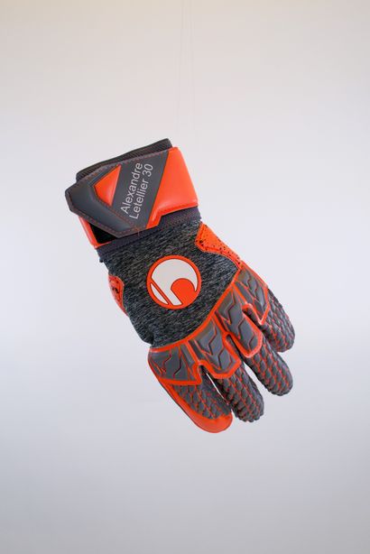 Alexandre Letellier
A pair of goalkeeper...