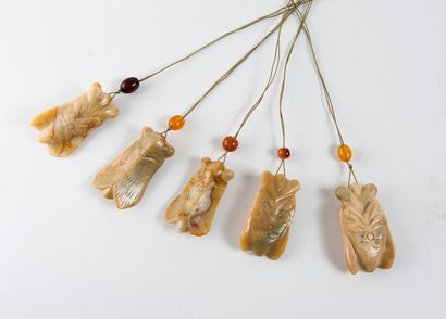 CHINE
Lot of five hard stone cicada pendants...