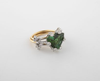 Yellow and white gold (750) ring set with...
