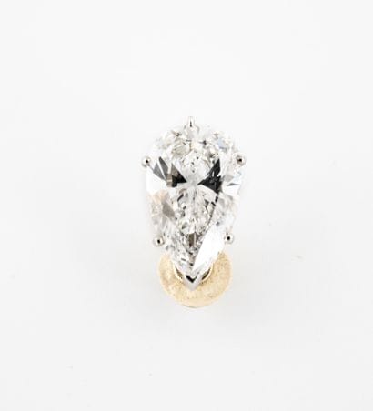 Gold (750) and platinum (850) ear clip, set...
