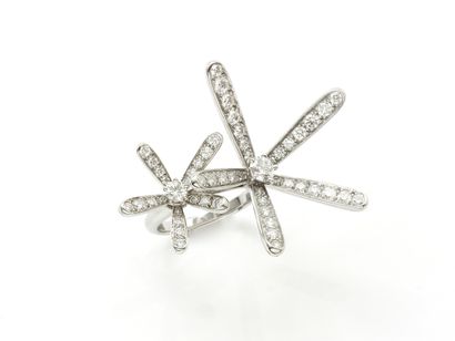 VAN CLEEF & ARPELS ''CARESSE D'EOLE''

A...
