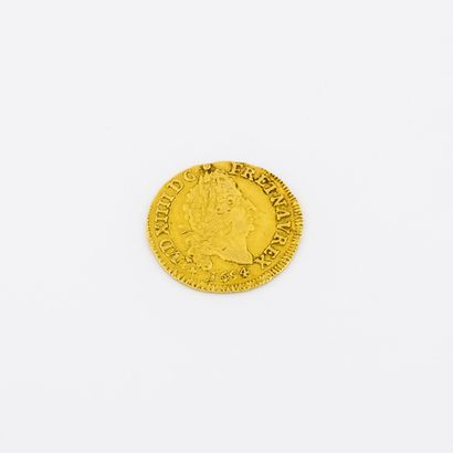 Demi Louis d'or. 

1694. 

Poids : 3.3 g....