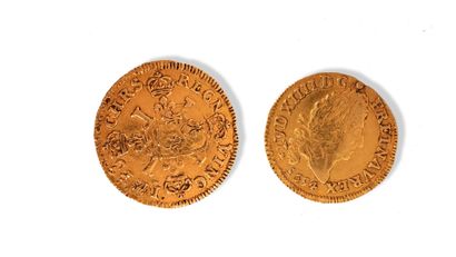 Demi Louis d'or. 

1694. 

Poids : 3.3 g....