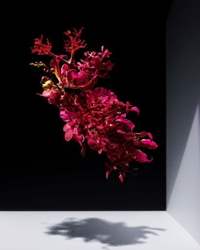 FLOATING NATURE 40X50cm par Isabelle Bonjean

Floating...