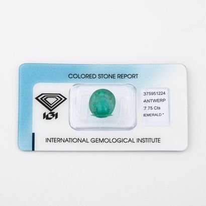 Oval faceted emerald, under IGI seal. 

Weight...