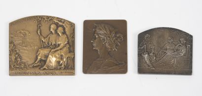 Lot of three medals in bronze with golden...