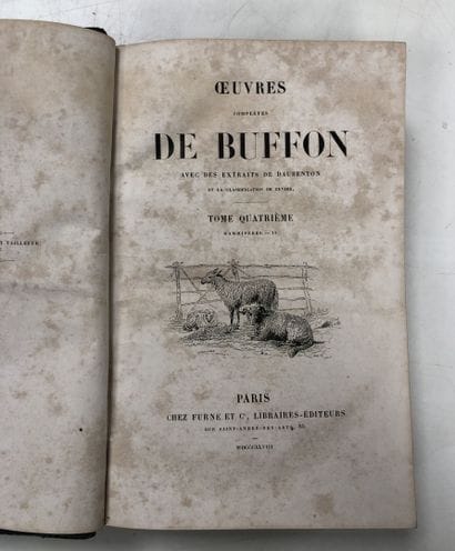 OEUVRES COMPLETES DE BUFFON 
Volume 4, mammals...